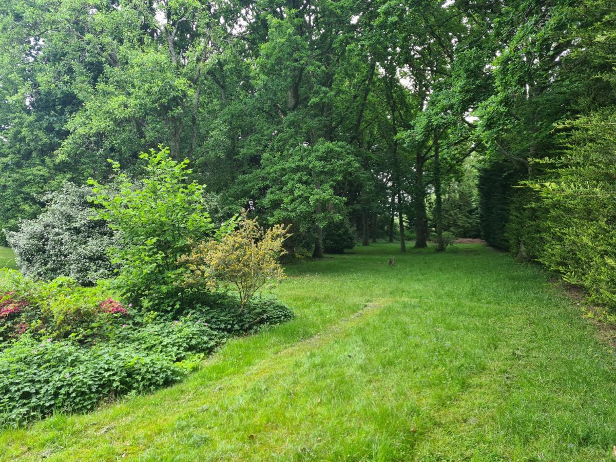 The Reading Whole Apartment With Private Lake And Gardens Εξωτερικό φωτογραφία